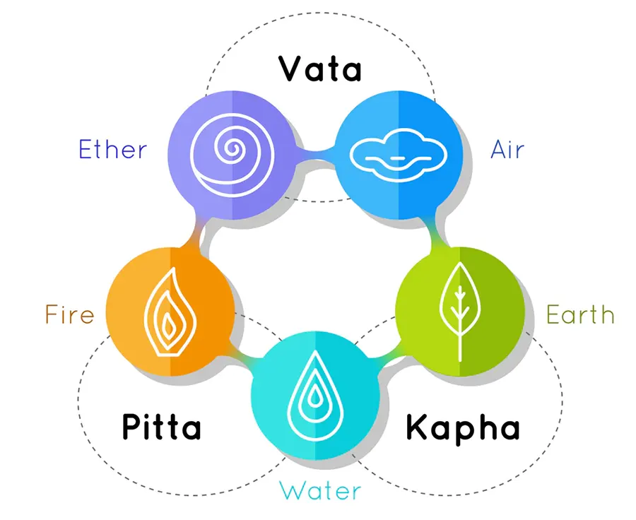 Our Specializations
